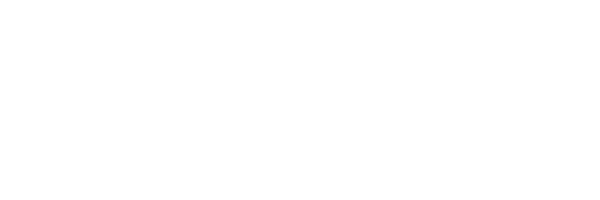 Skinz, the complete sound treatment logo